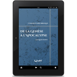 De la Genèse à l'Apocalypse (format ePub)